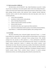 Individualios įmonės verslo planas: šventinė patalpų puošyba ir dekoravimas, prekyba gėlėmis "Gėlių paradas" 4 puslapis