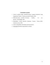 Individualiosios įmonės ir jų reikšmė Lietuvos ūkiui 11 puslapis