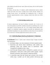 Individualiosios įmonės ir jų reikšmė Lietuvos ūkiui 5 puslapis