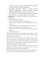 Individualiosios įmonės ir jų reikšmė Lietuvos ūkiui 6 puslapis