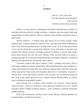 Infliacija, jos formos, priežastys, pasekmės bei prevencija 2 puslapis