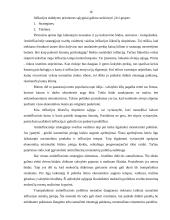 Infliacija, jos formos, priežastys, pasekmės bei prevencija 14 puslapis