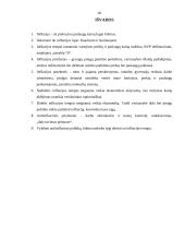 Infliacija, jos formos, priežastys, pasekmės bei prevencija 16 puslapis