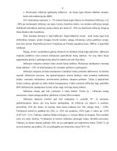 Infliacija, jos formos, priežastys, pasekmės bei prevencija 4 puslapis