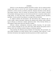 Infliacija, jos turinys, formos ir matavimo metodai, praktinės užduotys 5 puslapis