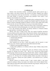 Infliacija, jos turinys, formos ir matavimo metodai, praktinės užduotys 6 puslapis