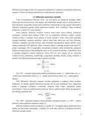 Infliacija, jos turinys, formos ir matavimo metodai, praktinės užduotys 9 puslapis