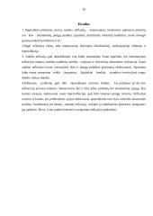 Infliacija: samprata, rūšys, pasekmės 16 puslapis