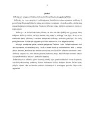 Infliacija: samprata, rūšys, pasekmės 3 puslapis