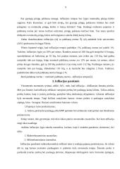 Infliacija: samprata, rūšys, pasekmės 9 puslapis