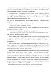 Infliacija: samprata, rūšys, pasekmės 10 puslapis