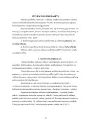 Infliacijos priežastys ir antiinfliacinės priemonės 3 puslapis