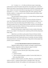 Infliacijos priežastys ir antiinfliacinės priemonės 7 puslapis