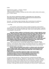 Inovacija, organizacija ir novatorius 2 puslapis