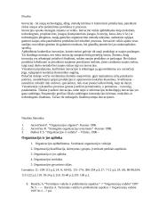 Inovacija, organizacija ir novatorius 11 puslapis