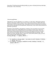 Inovacija, organizacija ir novatorius 3 puslapis