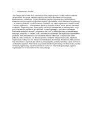 Inovacija, organizacija ir novatorius 5 puslapis