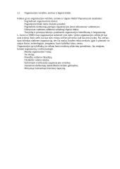 Inovacija, organizacija ir novatorius 6 puslapis