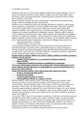 Inovacija, organizacija ir novatorius 8 puslapis