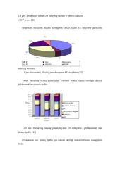 Inovacijų įvairovė. Inovacinės veiklos plėtojimo problemos 7 puslapis