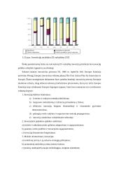 Inovacijų įvairovė. Inovacinės veiklos plėtojimo problemos 10 puslapis