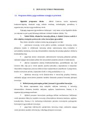 Inovacijų skatinimas ir plėtra 13 puslapis