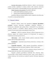 Inovacijų skatinimas ir plėtra 17 puslapis