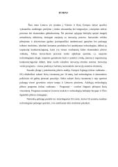 Inovacijų skatinimas ir plėtra 2 puslapis