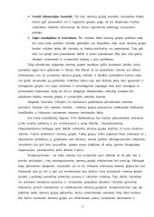 Politinės interesų grupės 12 puslapis