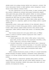 Politinės interesų grupės 13 puslapis