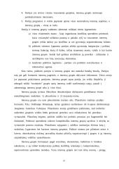 Politinės interesų grupės 10 puslapis