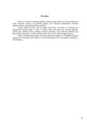 Interesų grupės ir lobizmas 11 puslapis