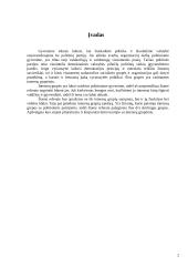 Interesų grupės ir lobizmas 3 puslapis