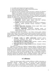 Interesų grupės ir lobizmas 7 puslapis