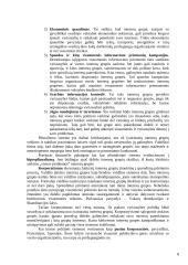 Interesų grupės ir lobizmas 9 puslapis