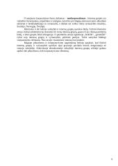 Interesų grupės ir lobizmas 10 puslapis