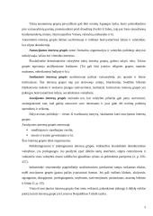 Interesų grupės Lietuvoje. Lietuvos respublikos trišalė taryba 5 puslapis