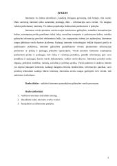 Interneto panaudojimas verslo procesams 3 puslapis