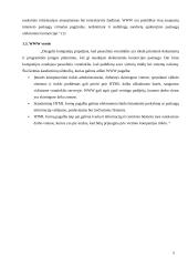 Interneto panaudojimas verslo procesams 5 puslapis