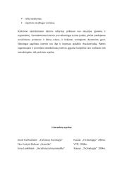 Interviu. Metodo privalumai ir trūkumai 8 puslapis