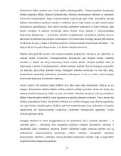 Investicijos 11 puslapis