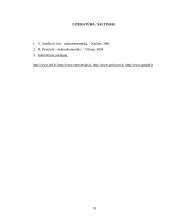 Investicijos 17 puslapis