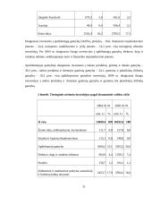 Investicijos 19 puslapis