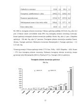 Investicijos 20 puslapis
