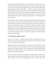 Investicijos 4 puslapis