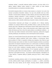 Investicijos 7 puslapis