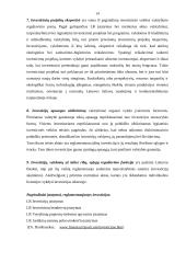 Kas yra investicijos bei užsienio investicijos Lietuvoje 12 puslapis