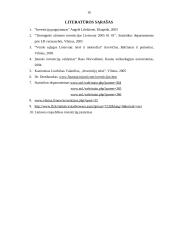 Kas yra investicijos bei užsienio investicijos Lietuvoje 14 puslapis