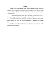 Kas yra investicijos bei užsienio investicijos Lietuvoje 2 puslapis