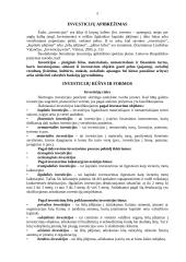 Kas yra investicijos bei užsienio investicijos Lietuvoje 4 puslapis